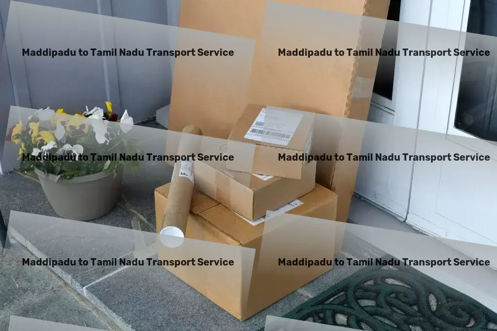 Maddipadu to Tamil Nadu Courier And Parcel A new era of transport efficiency awaits in India! - Comprehensive package logistics